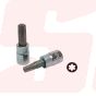 21862| 1/4” TORX BIT SOCKET | SIGNET