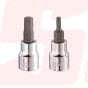 22868 | 3/8” TORX BIT SOCKET 48L | SIGNET