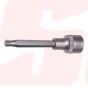 SOCKET BITS 1/2” RIBE | EGA MASTER