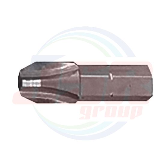 39075 | Pozidriv®* BITS INOX 25mm| EGA MASTER