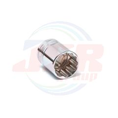 1/2” 12PT SOCKET | SIGNET