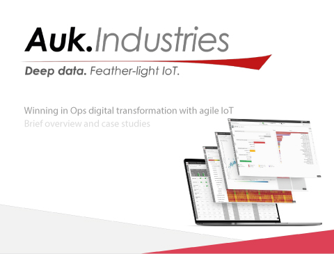 Auk.Industries Deep data. Feather-light IoT