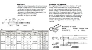 Rspk - Pre-set Ring Torque Wrenches ประแจปอนด์หัวประแจแหวนแบบตั้งแรงขันตายตัว BESTOOL-KANON table